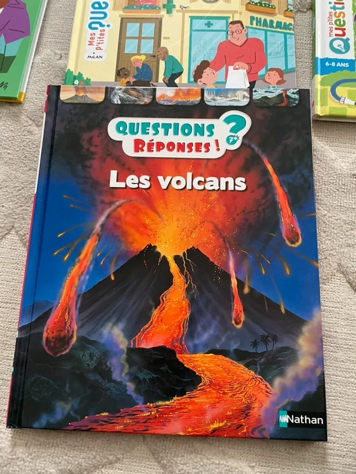 Lot de 7 livres mes p’tites questions et questions réponses - photo numéro 6