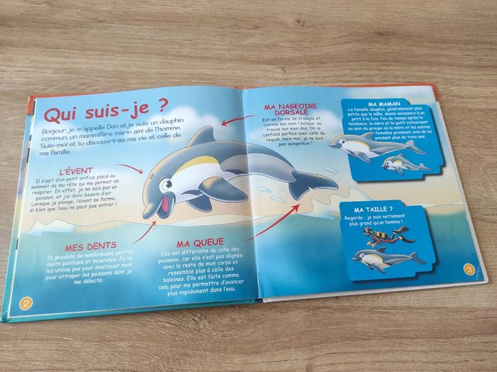 Livre Le Dauphin - photo numéro 4