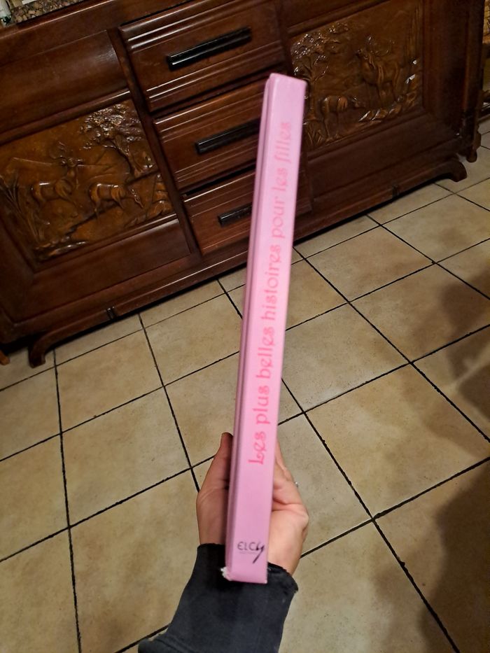 Les plus belles histoires pour les filles - photo numéro 5