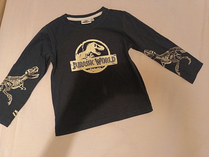 Pull Jurassic World 3-4 ans