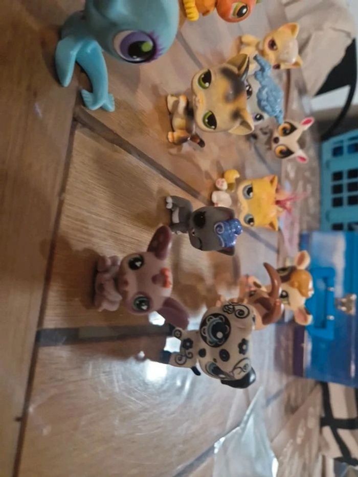 Lot petshop - photo numéro 2