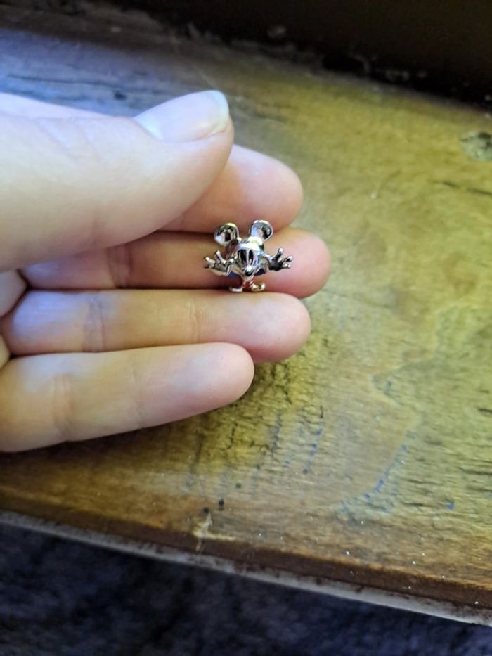 Accessoire - photo numéro 2