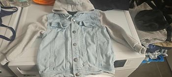 Veste