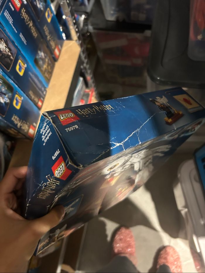 75979 LEGO Harry Potter - photo numéro 3