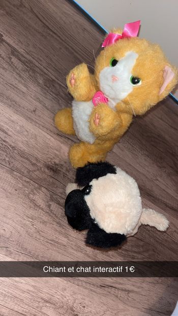 Chat et chien interactif