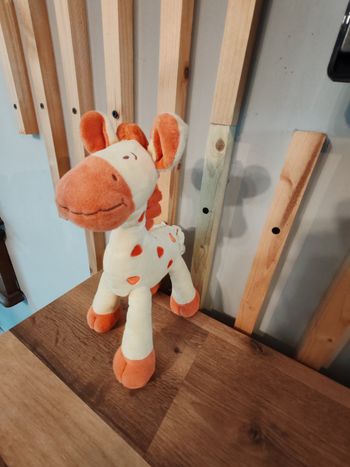 Girage jaune et orange Mots d enfants