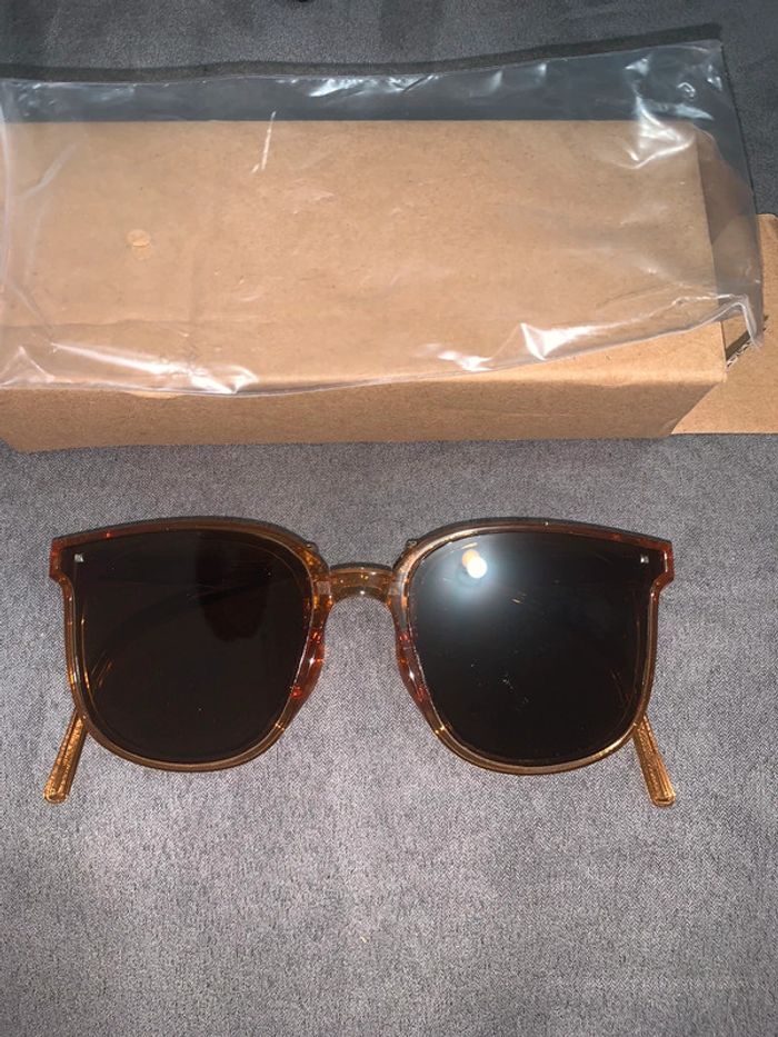 Lunettes pliables