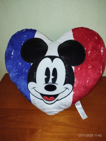 Coussin Mickey Disneyland