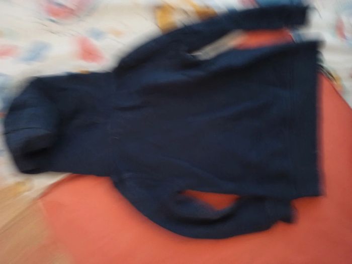 Sweat capuche taille 2/4 ans - photo numéro 3