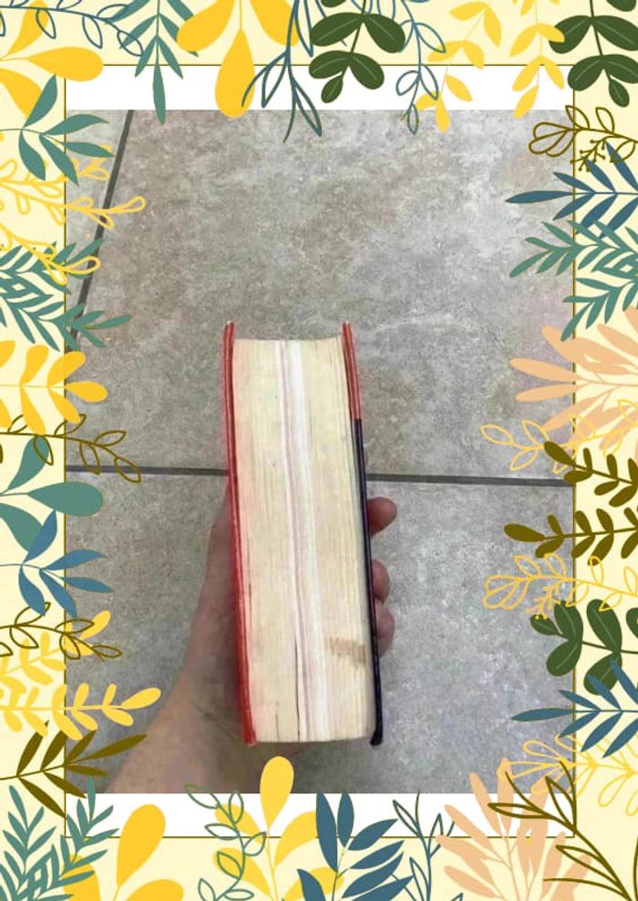 Dictionnaire français italien Larousse - photo numéro 4