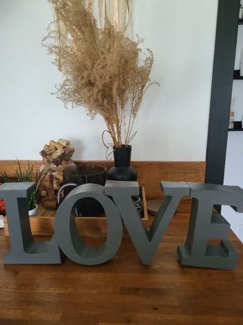 🌺Décoration "Love"