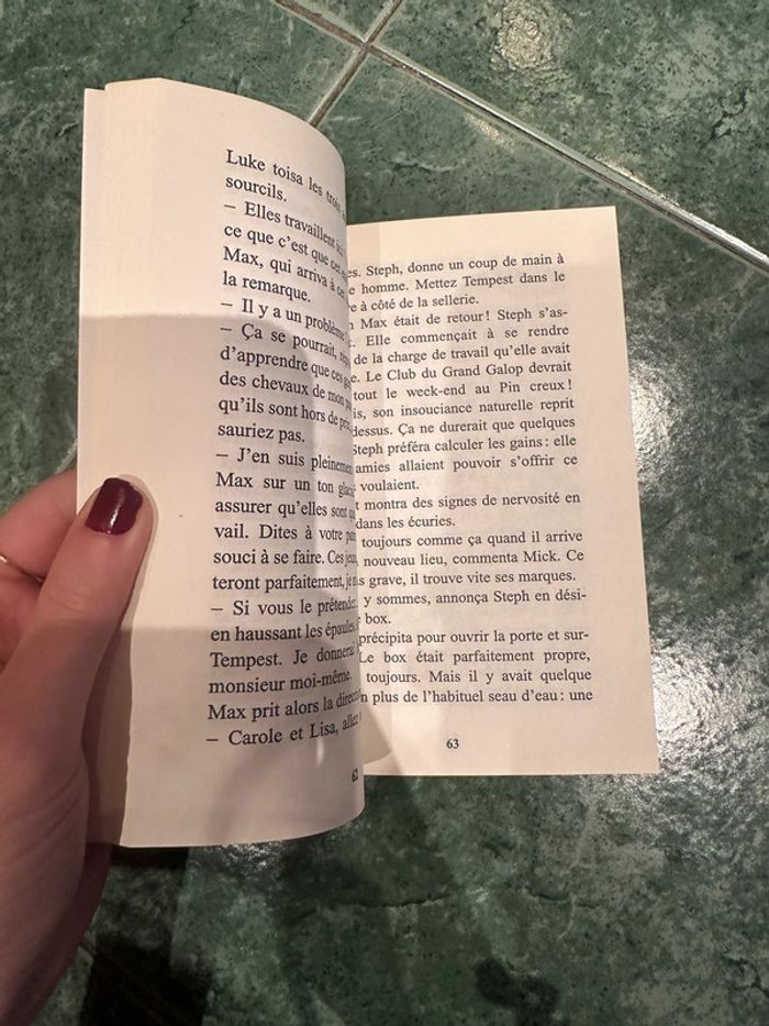 Roman grand galop une semaine de folie - photo numéro 2