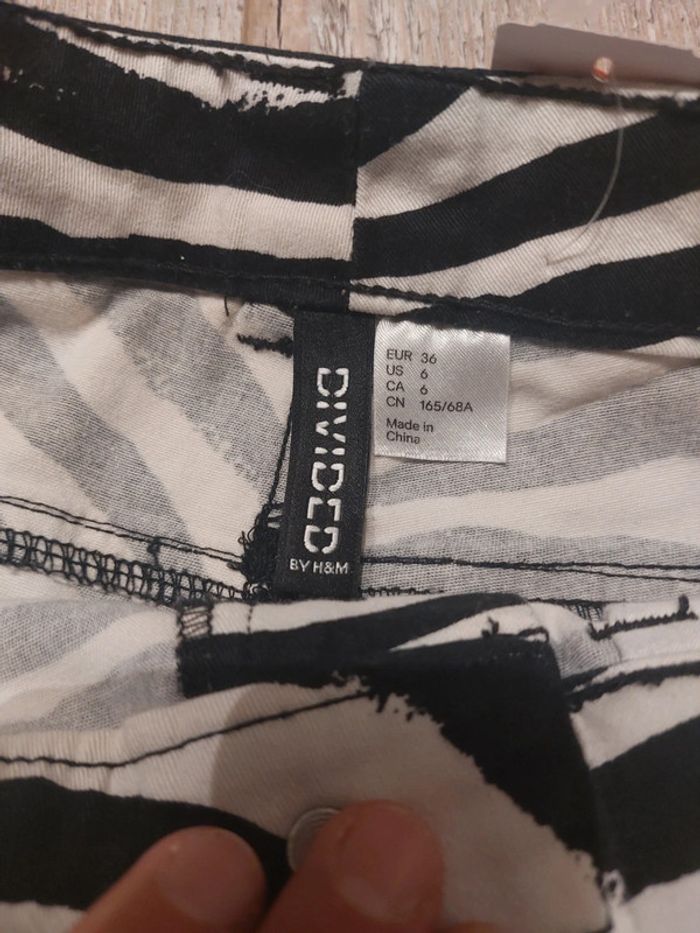 Short zèbre - photo numéro 2