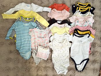 Bodys bébé 9 mois fille