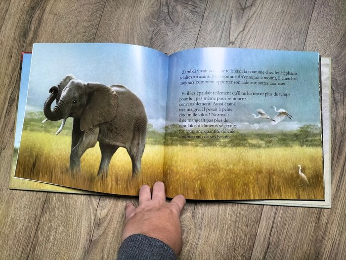 Livre L'éléphant et la générosité - photo numéro 3