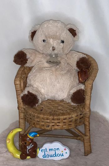 HD49 doudou ours 🐻 histoire d’ours