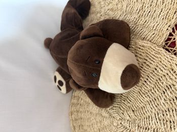 doudou ours
