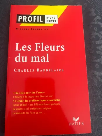 Profil d’une œuvre : les Fleurs du mal de Baudelaire