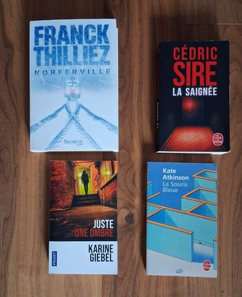 Lot 4 Thrillers - Thilliez - Sire - Giebel - Atkinson