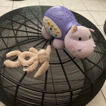 Hippopotame lumière  plafond et mélodies