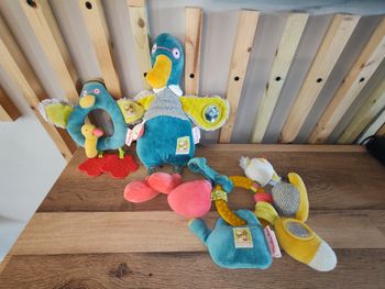 canard lot les cousins du moulin roty