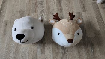 Tête aniamux