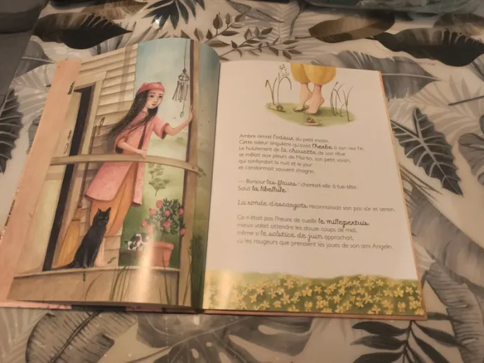 Album ambre la petite guérisseuse - photo numéro 2