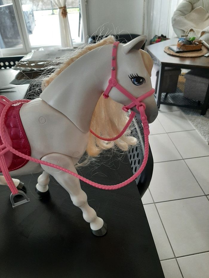 Cheval barbie et velo - photo numéro 5