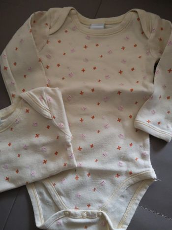 Lot 2 Bodys 12 mois