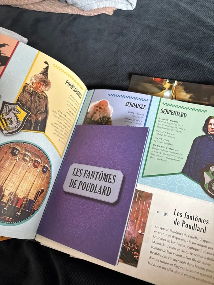 Le carnet magique Poudlard Harry Potter - photo numéro 5