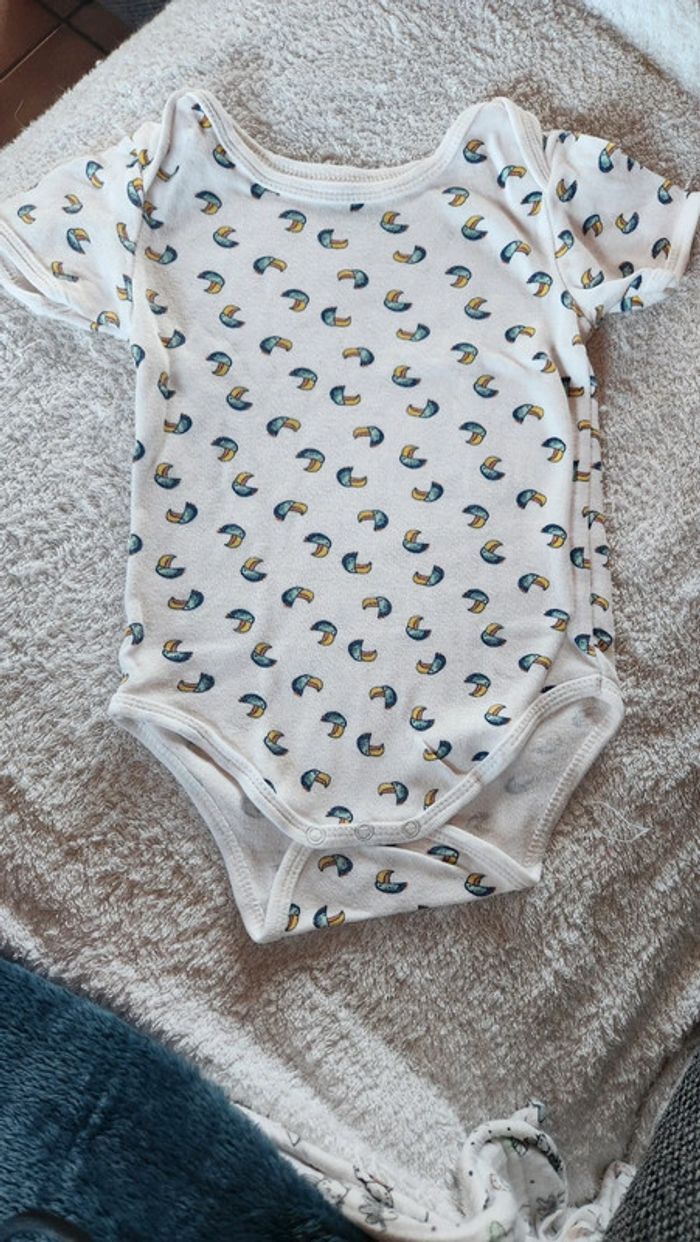 Lot de bodies - photo numéro 7