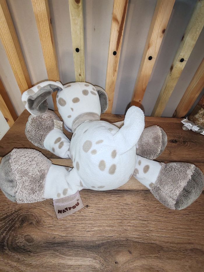 Chien nattou max et Noa beige et blanc - photo numéro 2