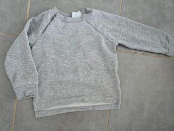 Sweat Adidas