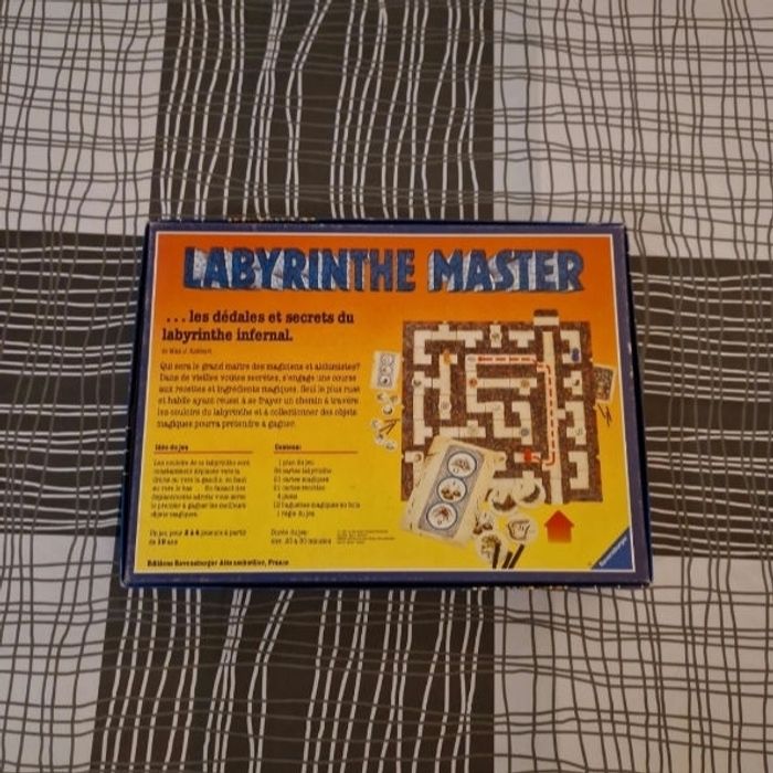 Labyrinthe master - photo numéro 3
