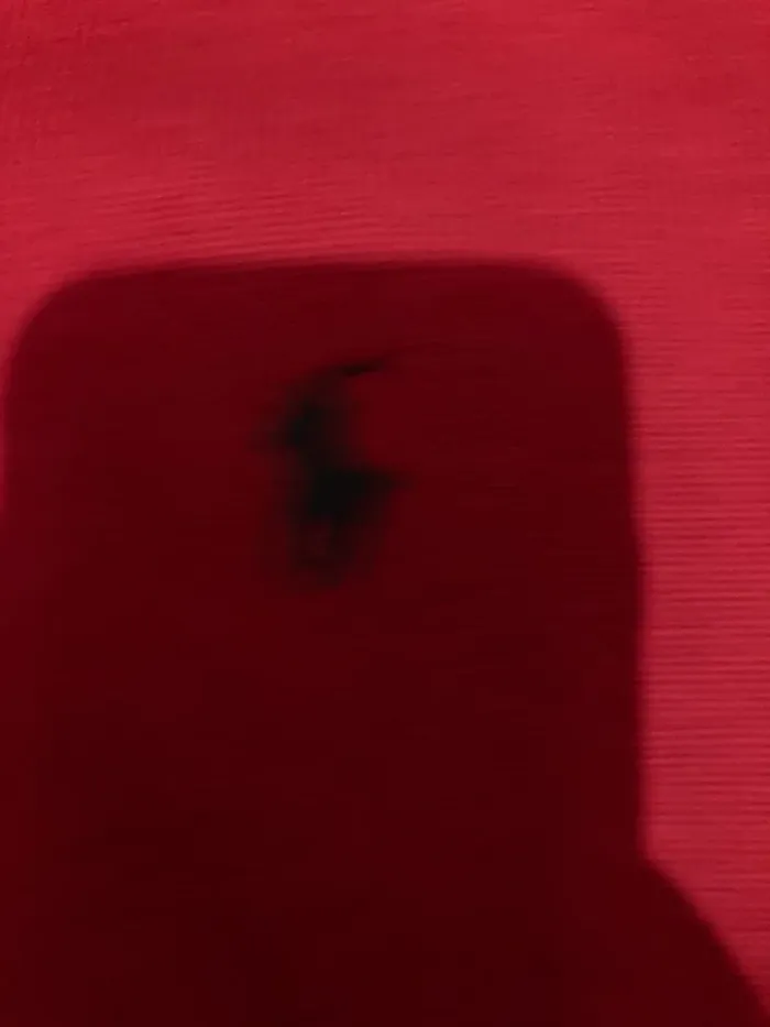 Pull Ralph Lauren - photo numéro 4