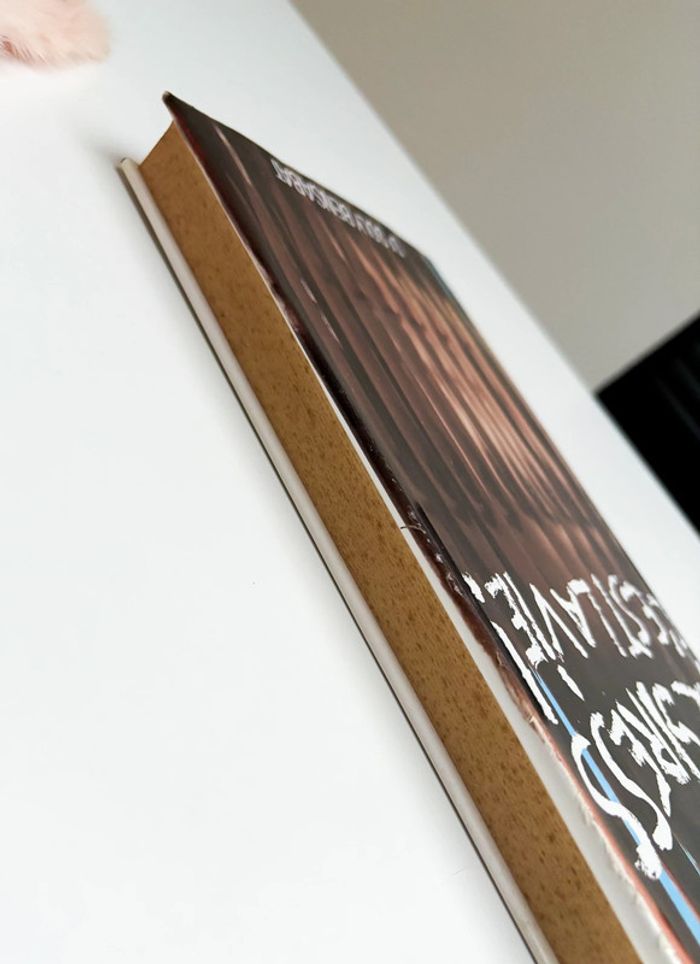 Livre - le stress c’est la vie - photo numéro 3