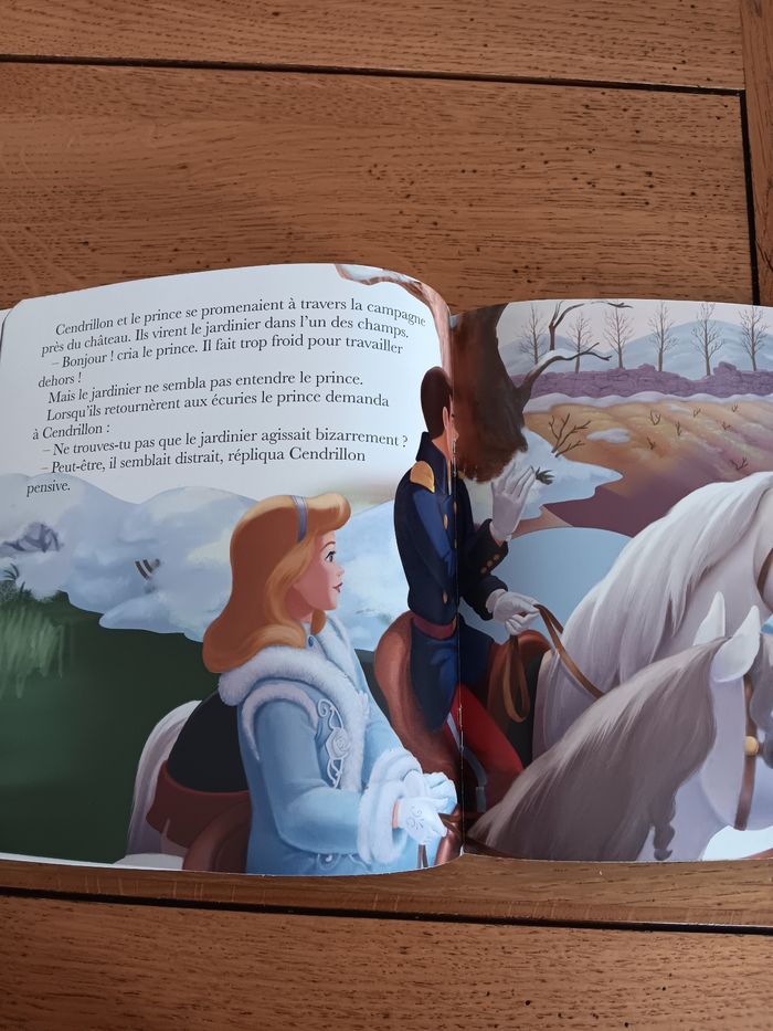 Livre Disney - photo numéro 3