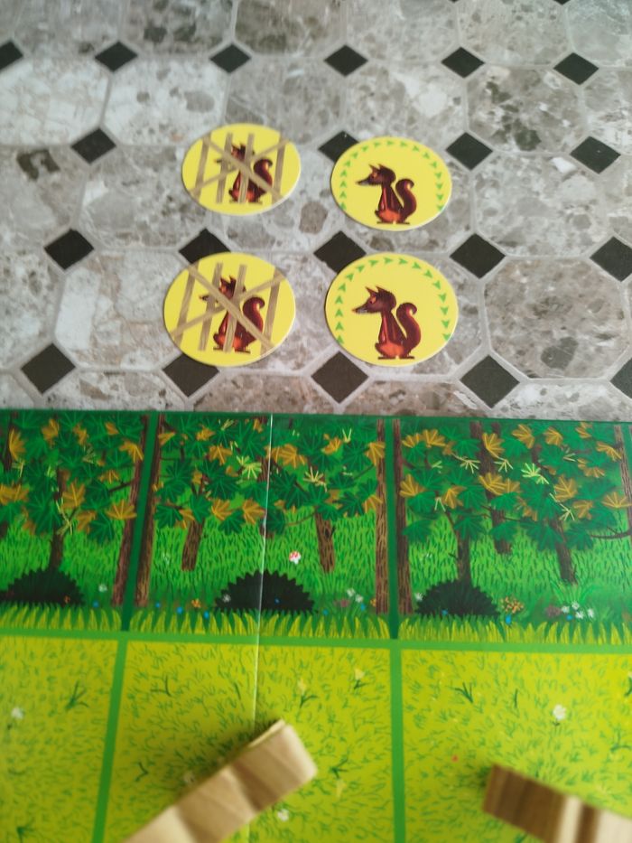 Potomac jeu de parcours et de coopération - photo numéro 6