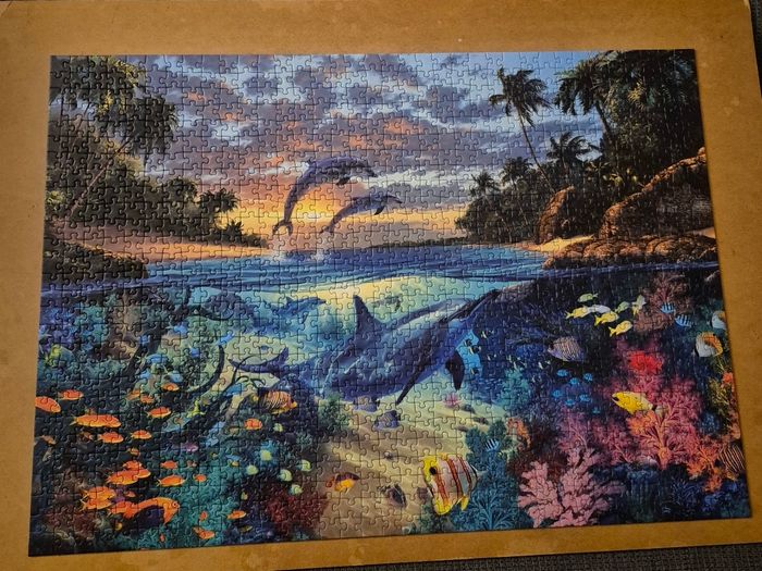Puzzle 1000 pièces - photo numéro 2