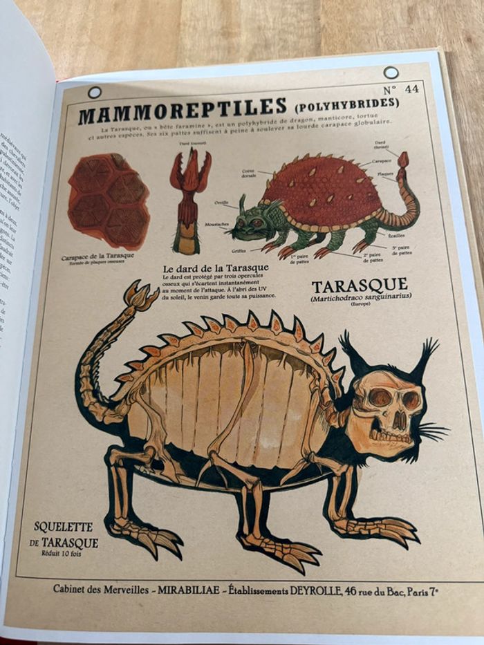Plume de Carotte Créatures fantastiques Deyrolle livre grand album encyclopédie - photo numéro 5