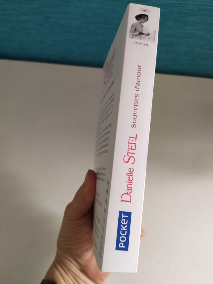 Souvenirs d'amour de Danielle Steel - photo numéro 3