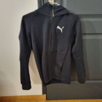Sweat puma