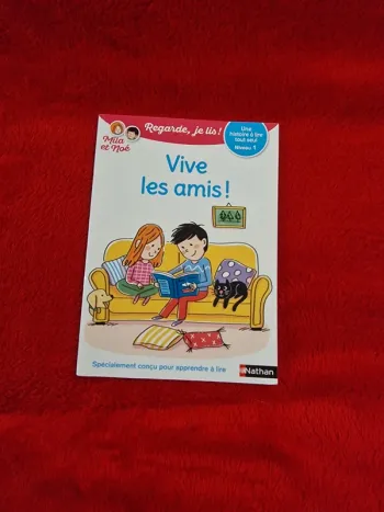 Livre regarde je lis mila et noé vive les amis