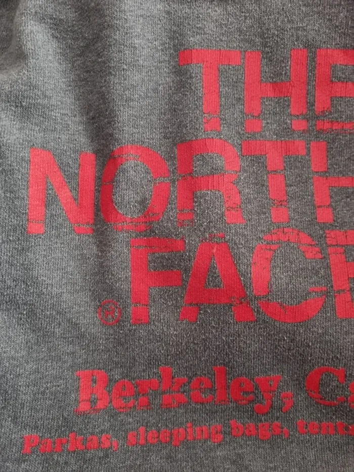 Sweat à capuche The north face - photo numéro 3