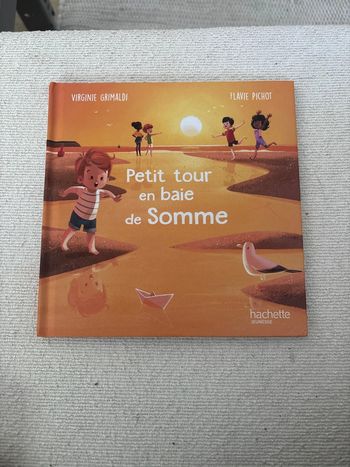 Livre de Virginie grimaldi et Flavie Pichot