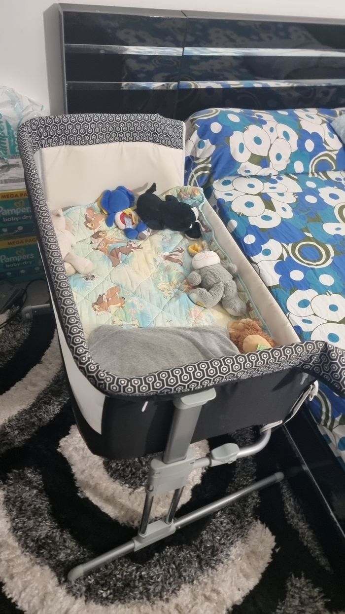 Cododo bébé