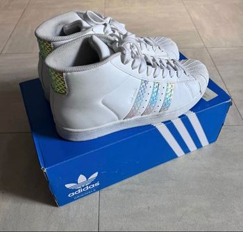 Baskets Adidas superstar montantes 