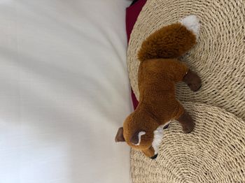 doudou renard renard et l'enfant