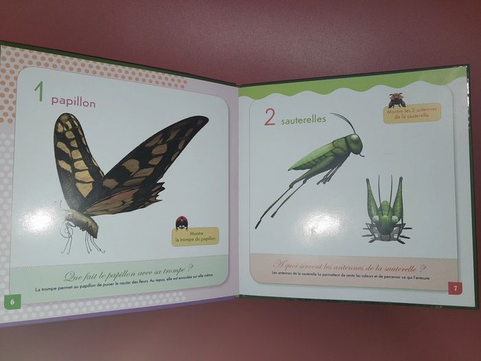 lot série Minuscule DVD + 2 livres + le jeu - photo numéro 8