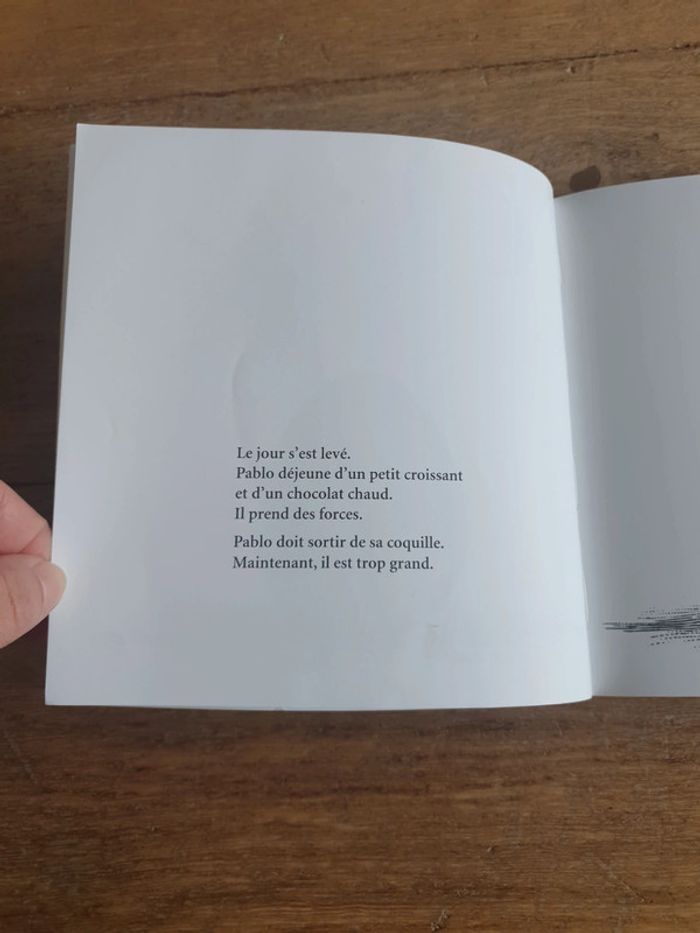 Livre Pablo - photo numéro 5
